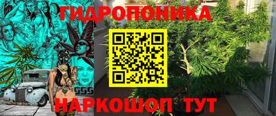прущие крисы Краснокаменск