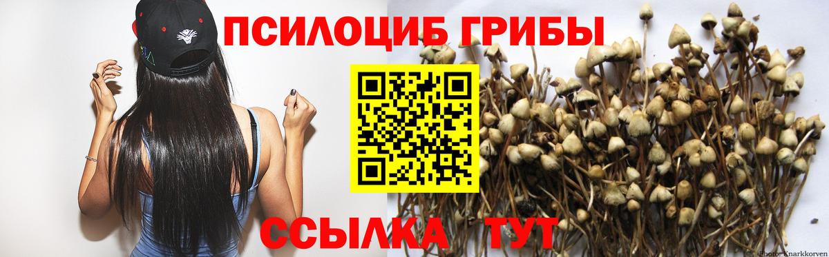 Галлюциногенные грибы мицелий Кохма